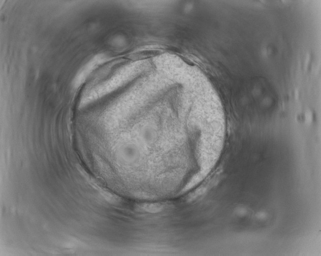 X0000074930341200609291803