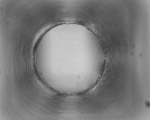 X0000074930342200609291803