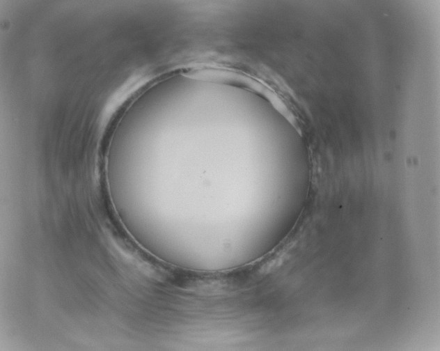 X0000074930344200609291803