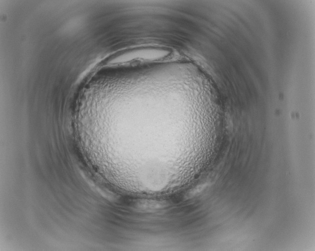 X0000074930347200609291803