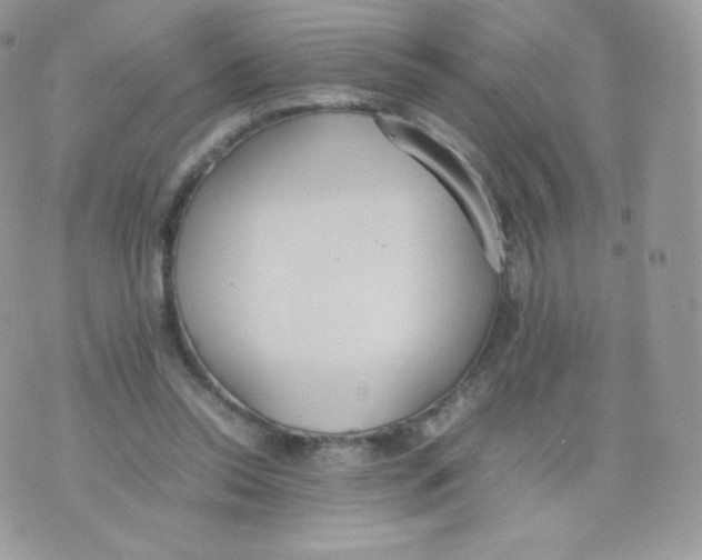 X0000074930350200609291803