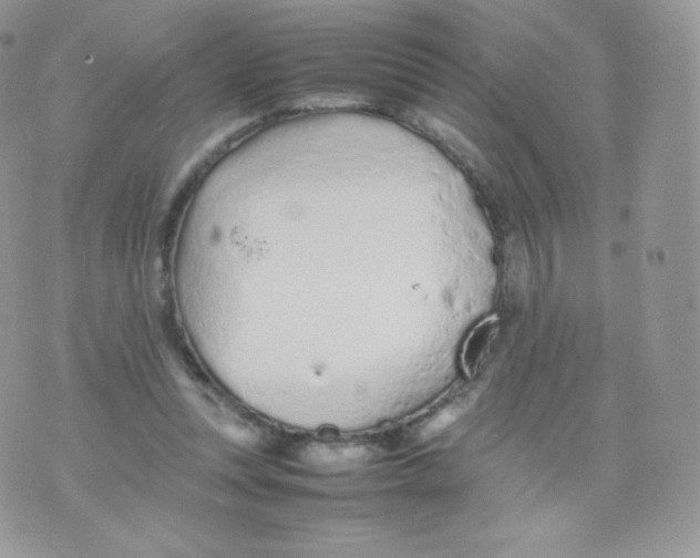 X0000074930351200609291803