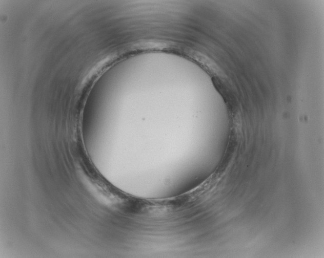 X0000074930352200609291803