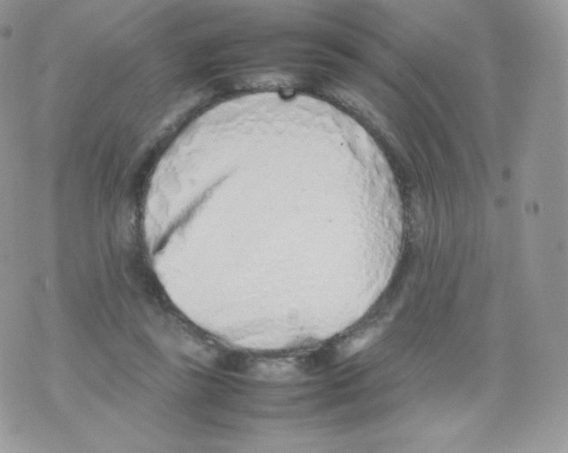 X0000074930355200609291803