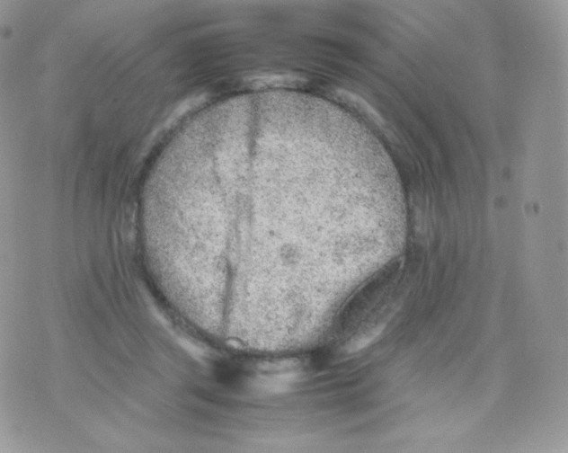 X0000074930357200609291803