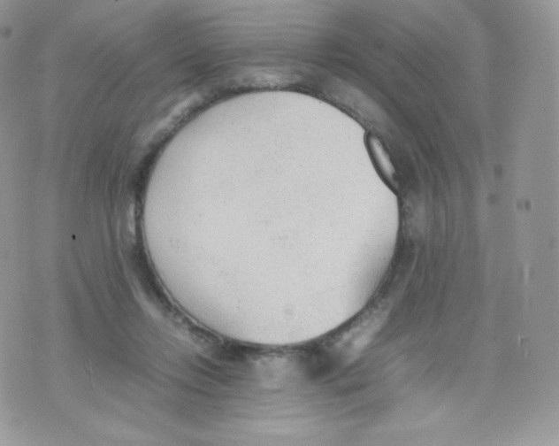 X0000074930358200609291803