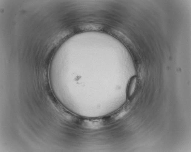 X0000074930359200609291803