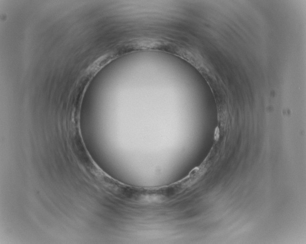 X0000074930360200609291803