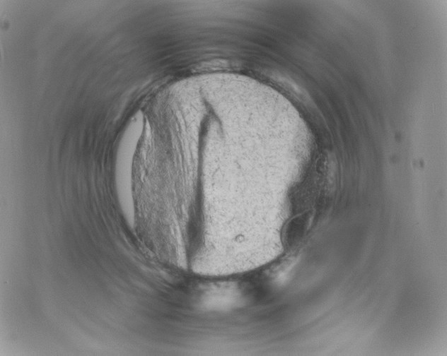 X0000074930361200609291803