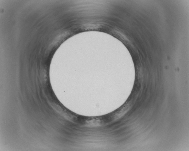 X0000074930362200609291803