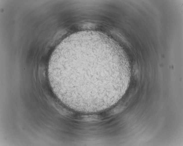 X0000074930363200609291803