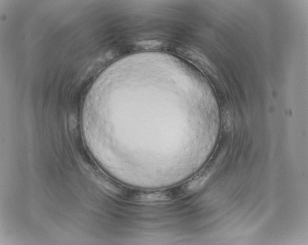 X0000074930365200609291803