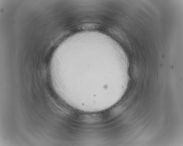 X0000074930367200609291803