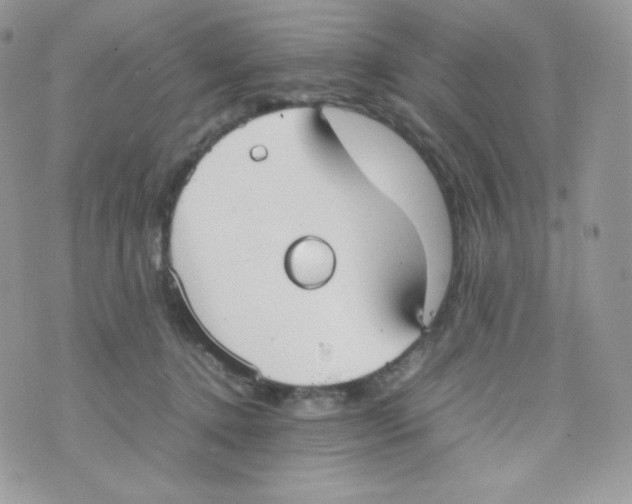 X0000074930368200609291803