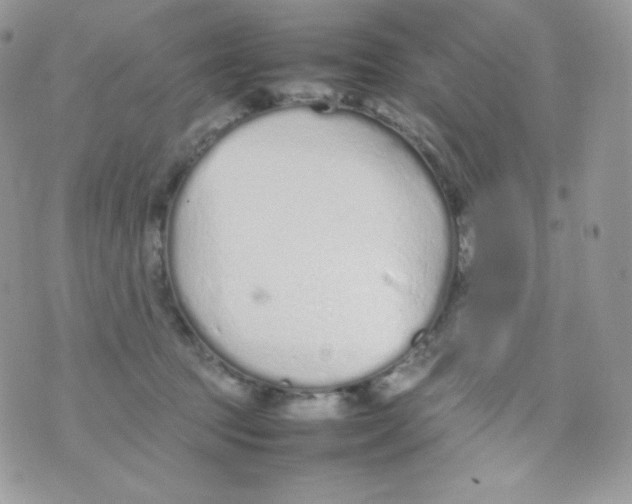 X0000074930369200609291803