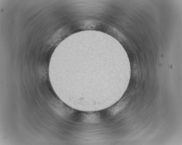 X0000074930370200609291803