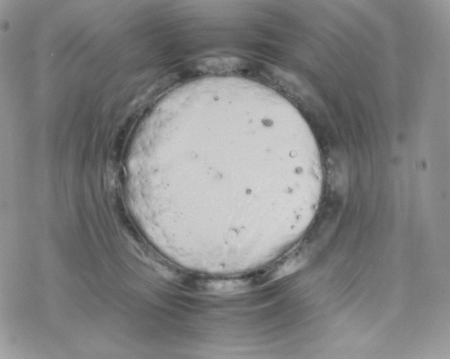 X0000074930371200609291803