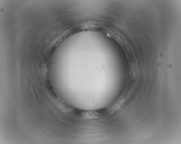 X0000074930372200609291803