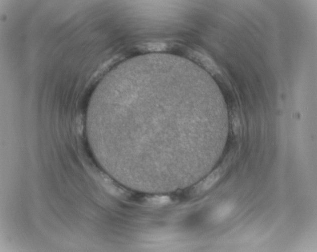 X0000074930374200609291803