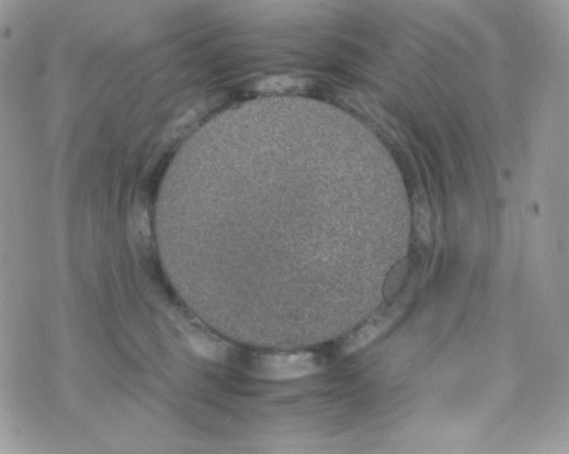 X0000074930375200609291803