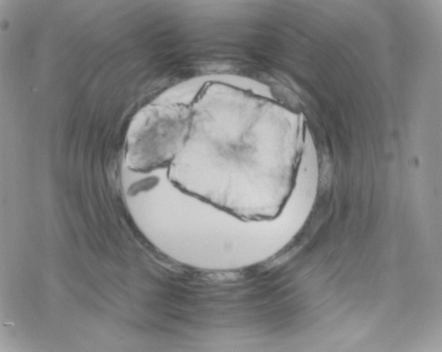 X0000074930377200609291803