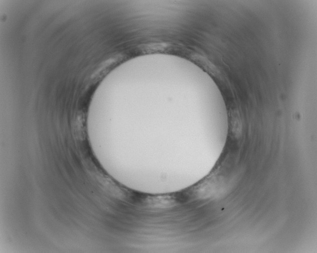 X0000074930378200609291803