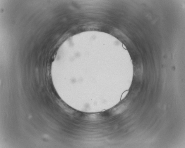 X0000074930382200609291803