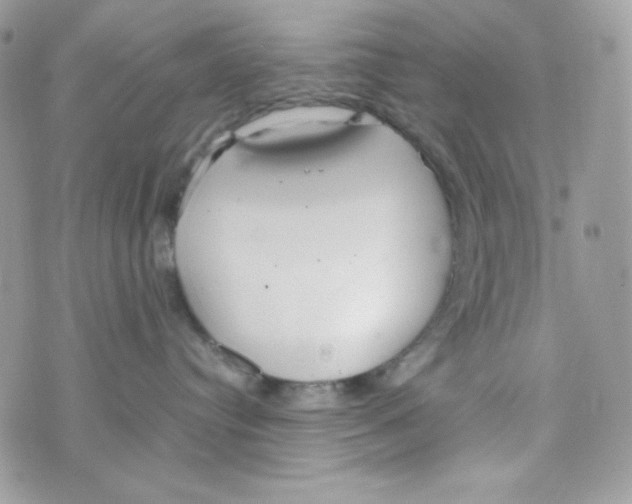 X0000074930384200609291803