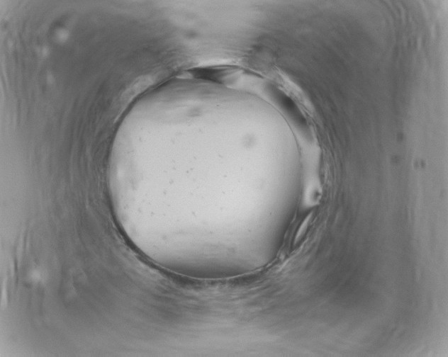 X0000074930385200609291802