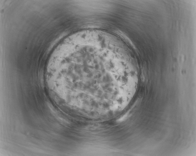 X0000074930386200609291802