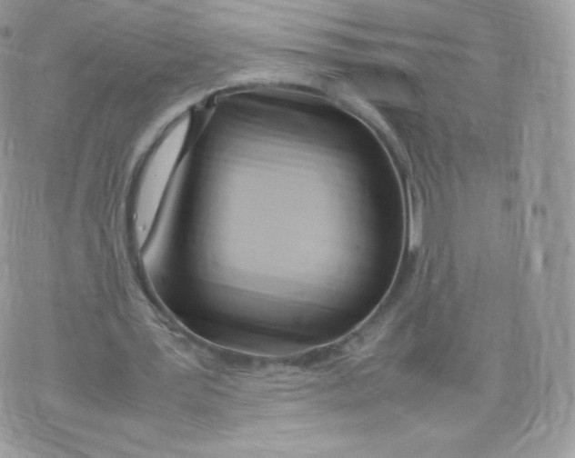 X0000074930387200609291802