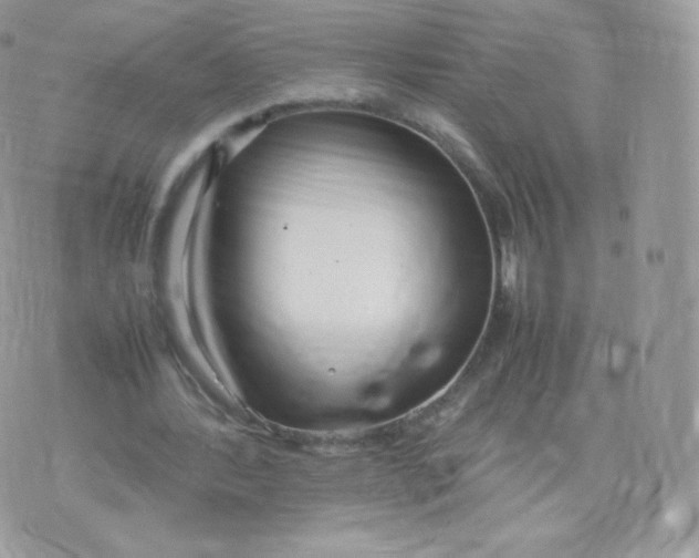 X0000074930388200609291802