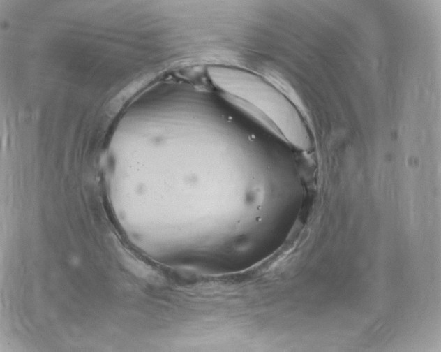 X0000074930389200609291802