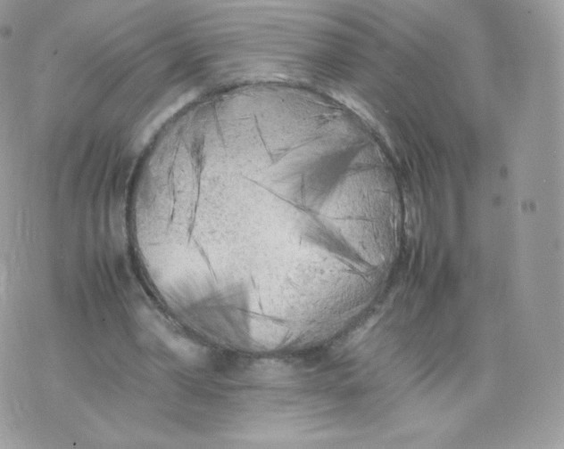 X0000074930390200609291802