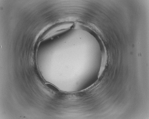 X0000074930392200609291802