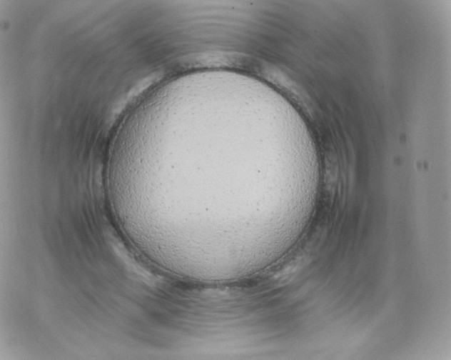 X0000074930394200609291802