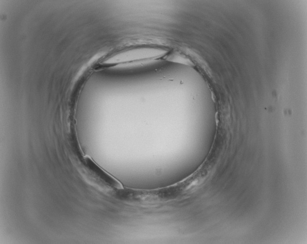 X0000074930395200609291802