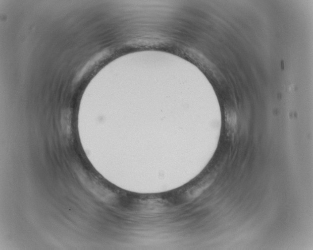 X0000074930396200609291802