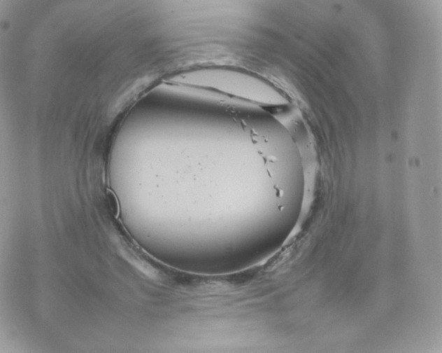 X0000074930397200609291802