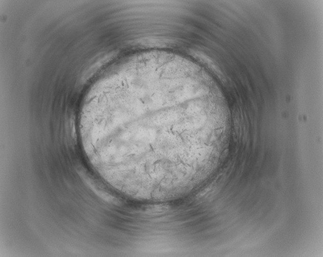 X0000074930398200609291802