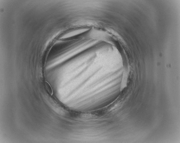 X0000074930399200609291802