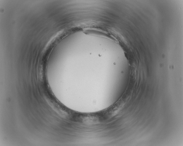 X0000074930400200609291802