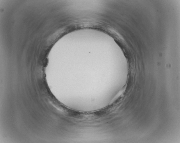 X0000074930401200609291802