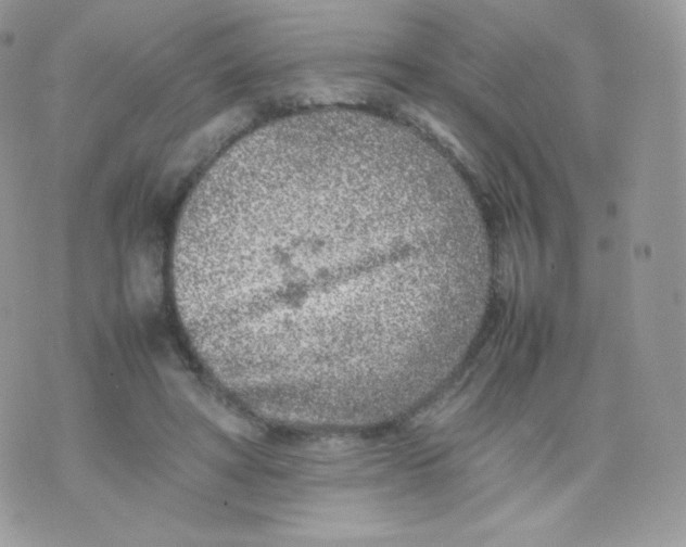 X0000074930402200609291802