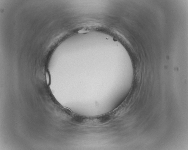 X0000074930403200609291802