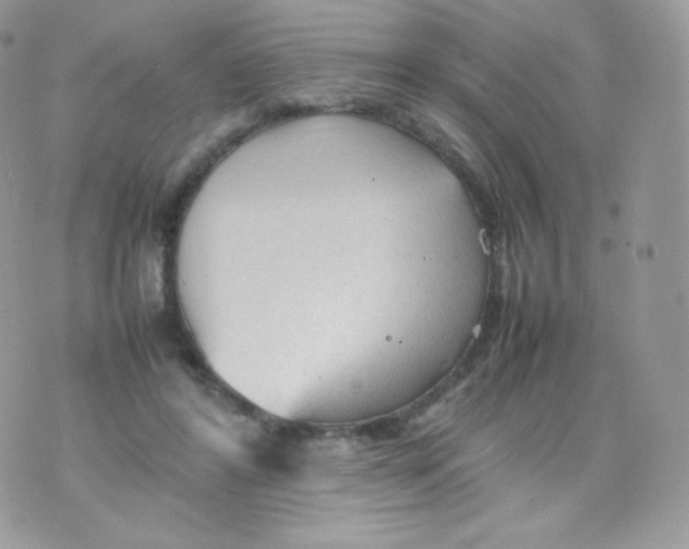 X0000074930404200609291802