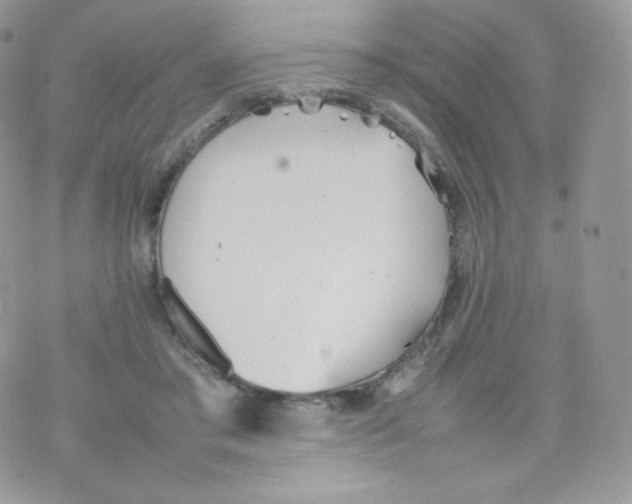 X0000074930405200609291802