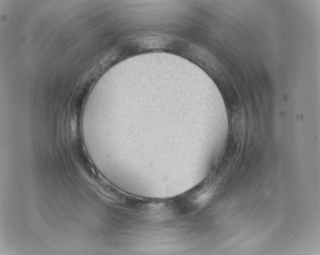 X0000074930406200609291802