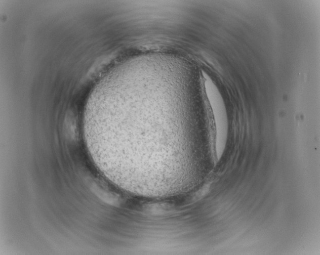 X0000074930408200609291802