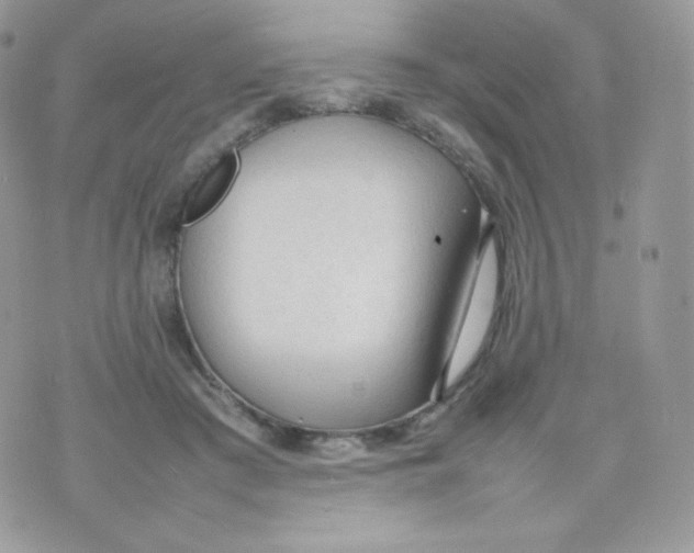 X0000074930409200609291802